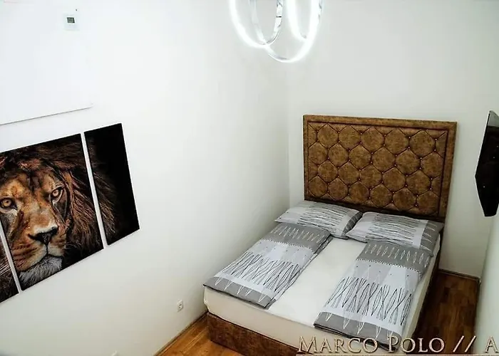 Markopolo *